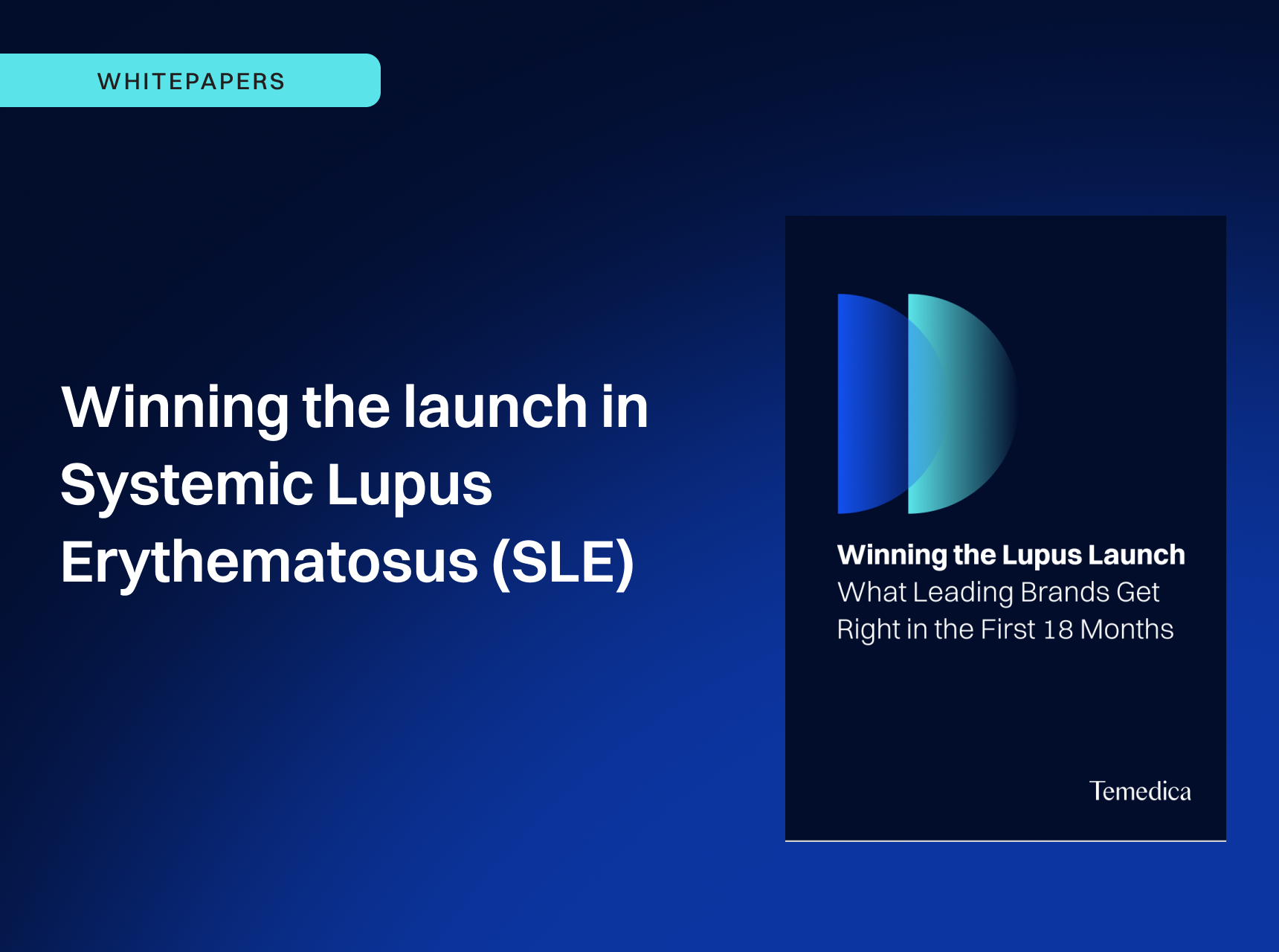 Whitepaper-winning-the-launch-in-SLE